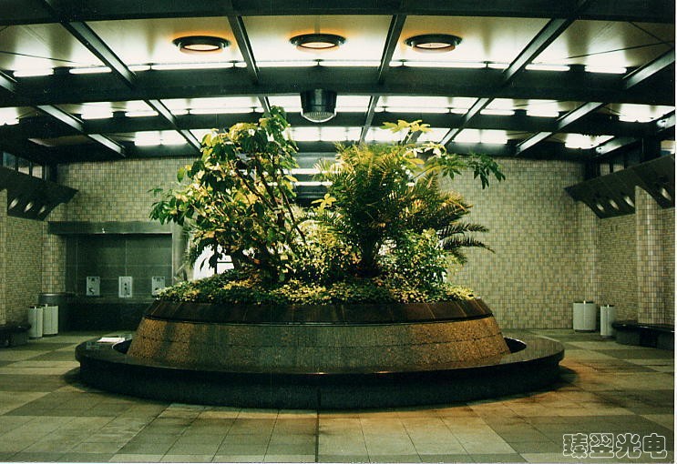 光導(dǎo)照明，光纖照明，室內(nèi)植物照射